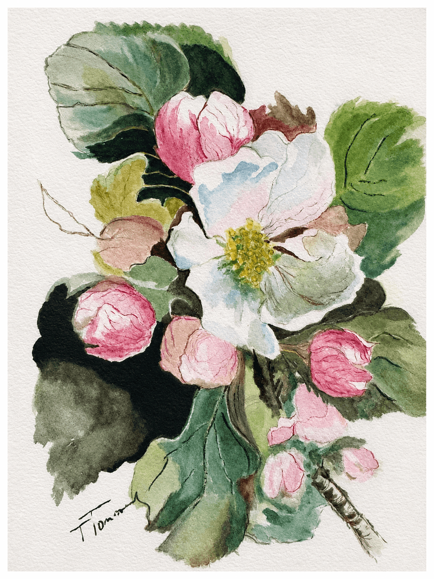 Tatiana N. Golembievska, Fiori: Vista principale